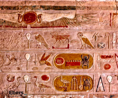 The Best Honey To Taste