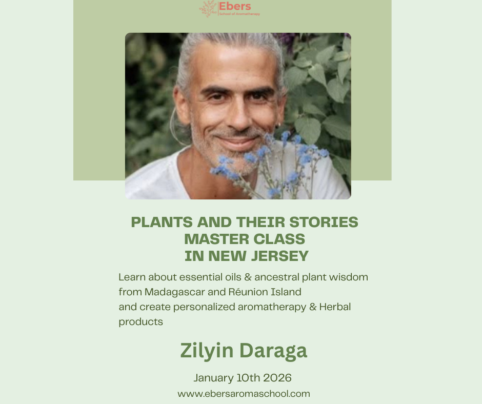 Plants and Their Stories – In-Person Masterclass