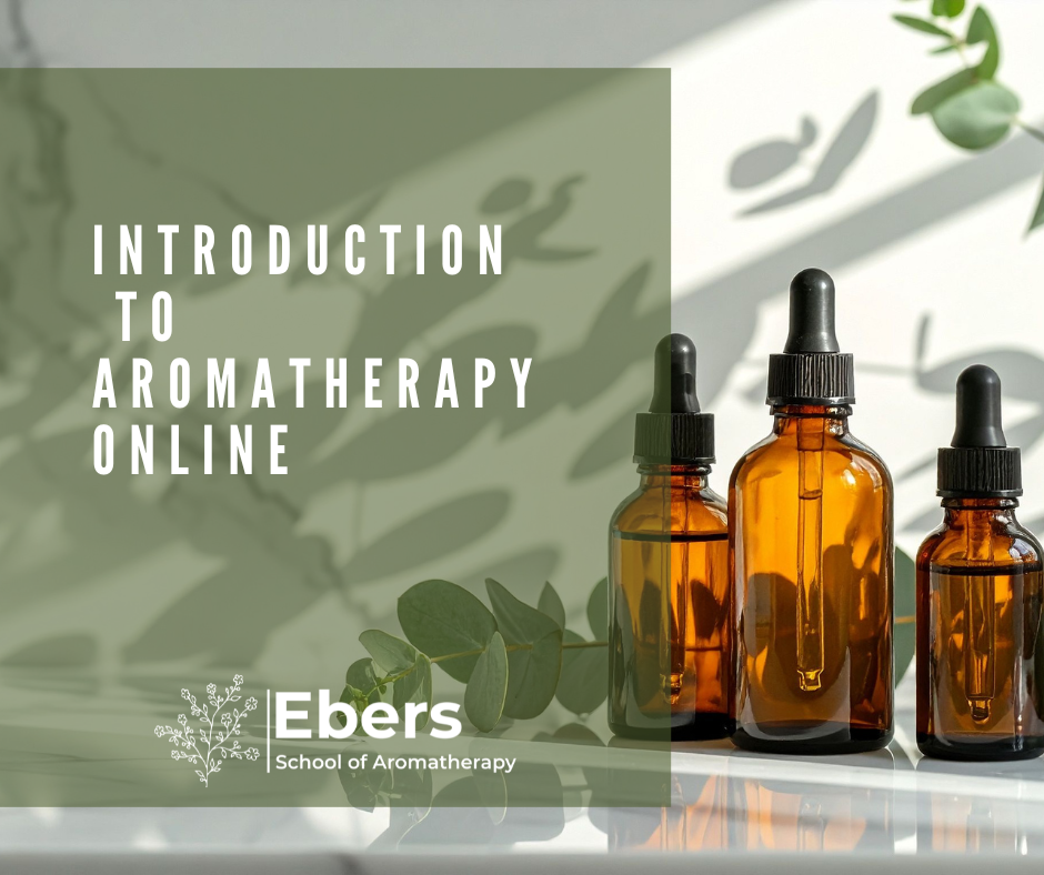 Introduction To Aromatherapy – Online