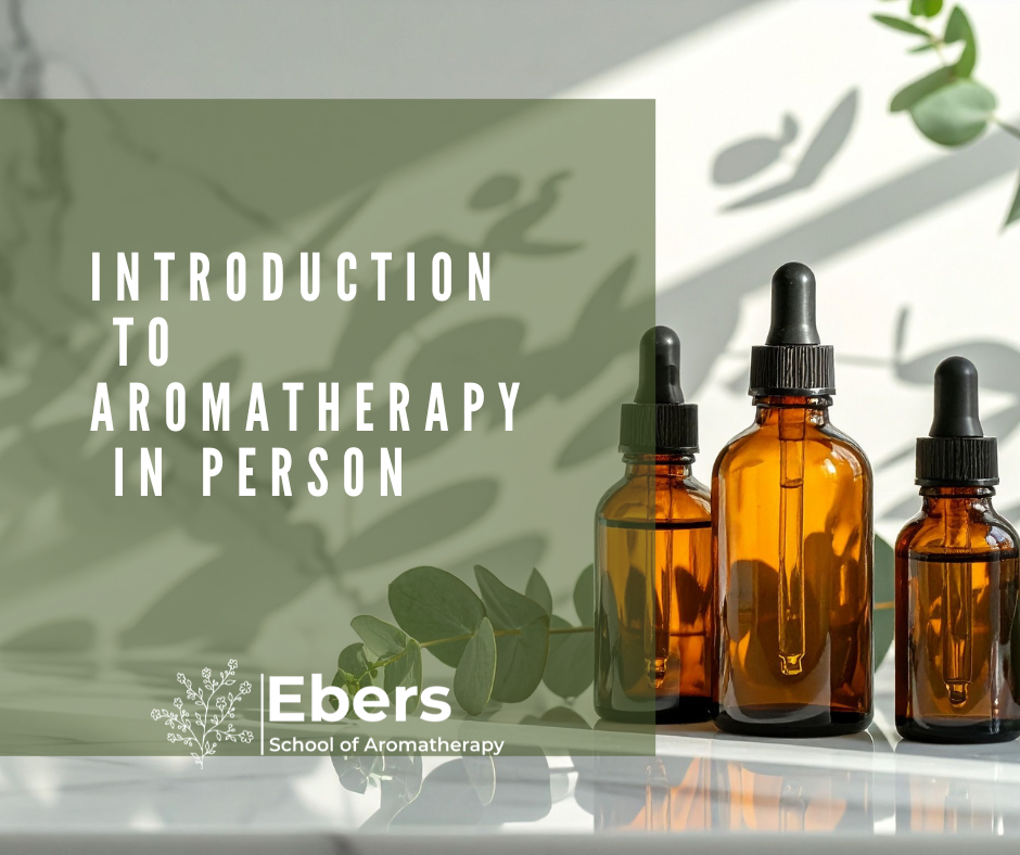 Introduction to Aromatherapy | One-Day Essential Oils Workshop