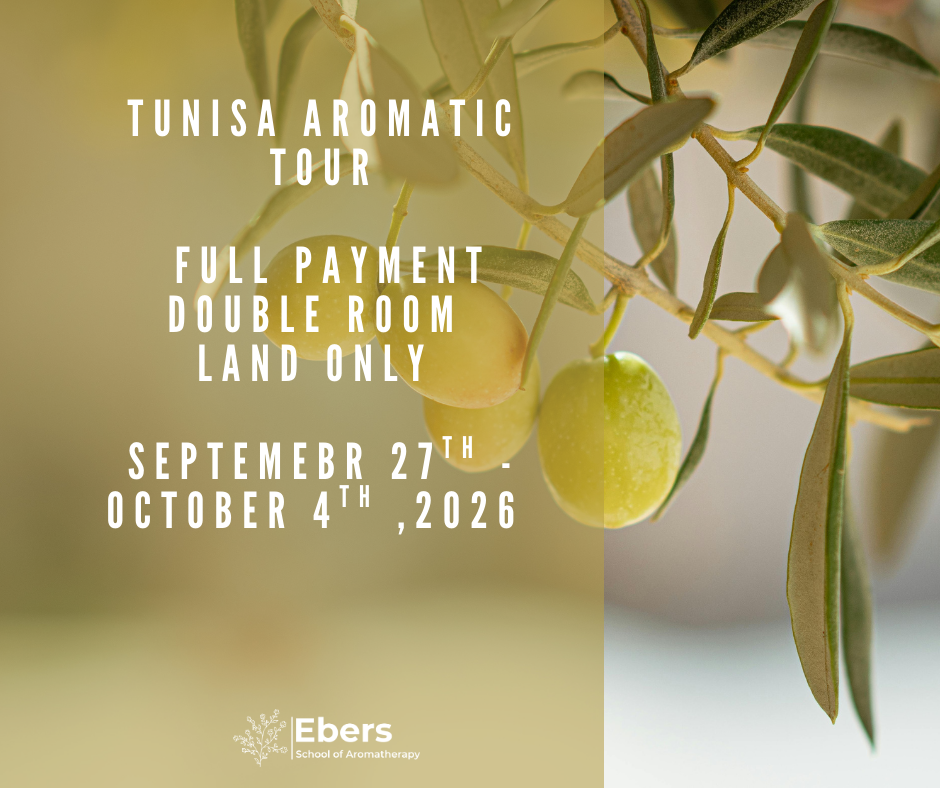 Tunisia 8-Day Aromatic Study Tour – Land-Only – Double Room