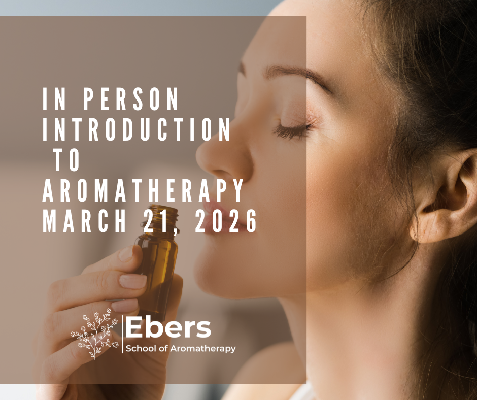 Introduction To Aromatherapy – In Person