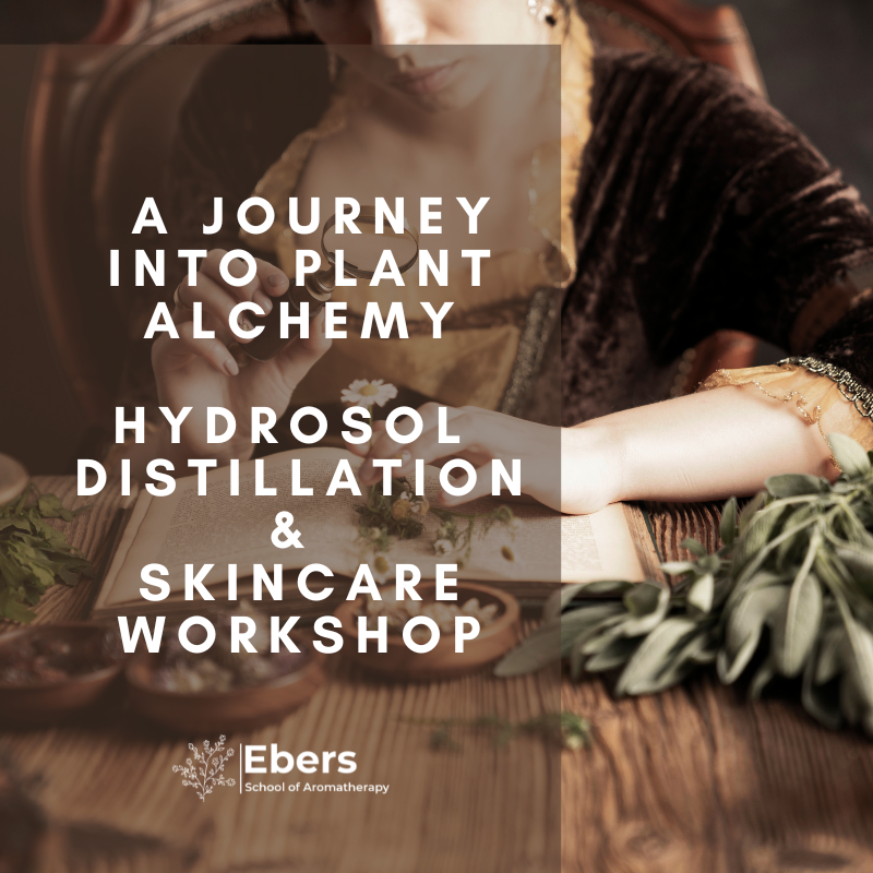 A Journey Into Plant Alchemy- Hydrosol Distillation A Journey Into Plant Alchemy- Hydrosol Distillation